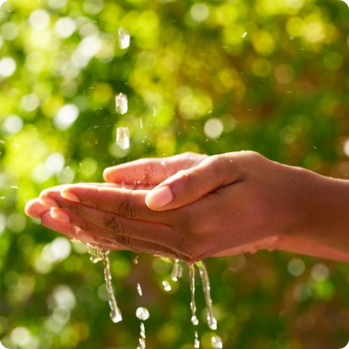 Biogas initiatives